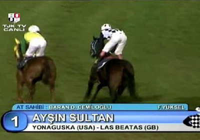 Bir Kez Daha Ayn Sultan...