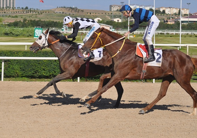 Kapadokya Kousunu Es Es Runner Kazand